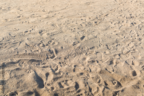 Footprints in the sand