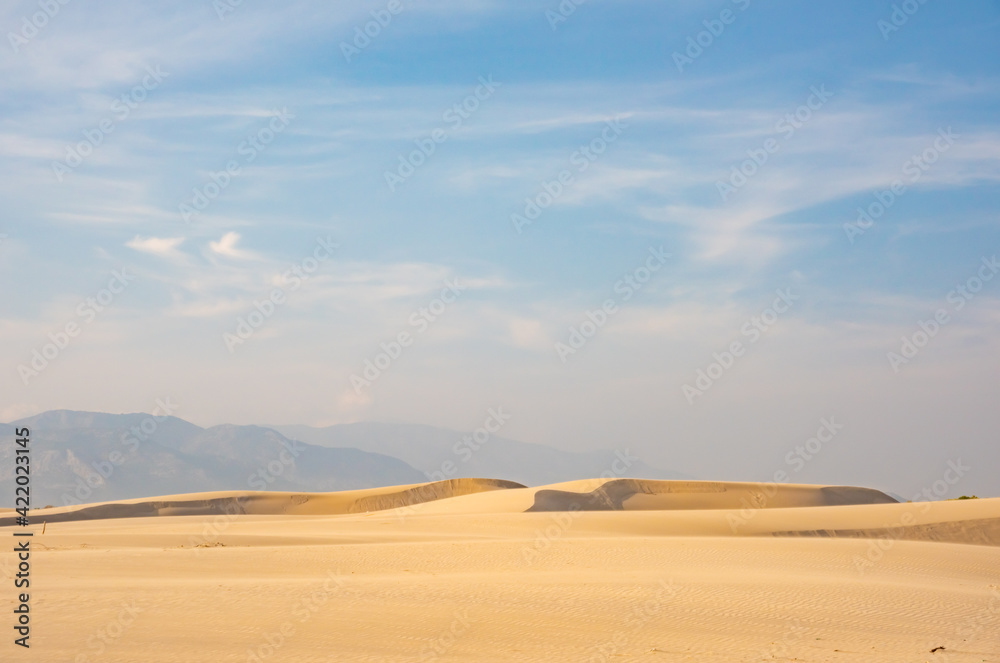 Desert Background Landscape with sand waves and dunes
