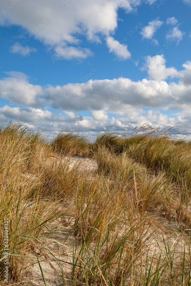 Nordstrand und Dünen im Ostseebad Prerow auf dem Darß, Fischland-Darß-Zingst, Mecklenburg Vorpommern, Deutschland Nordstrand und Dünen im Ostseebad Prerow auf dem Darß, Fischland-Darß-Zingst, Mecklenburg Vorpommern, Deutschland