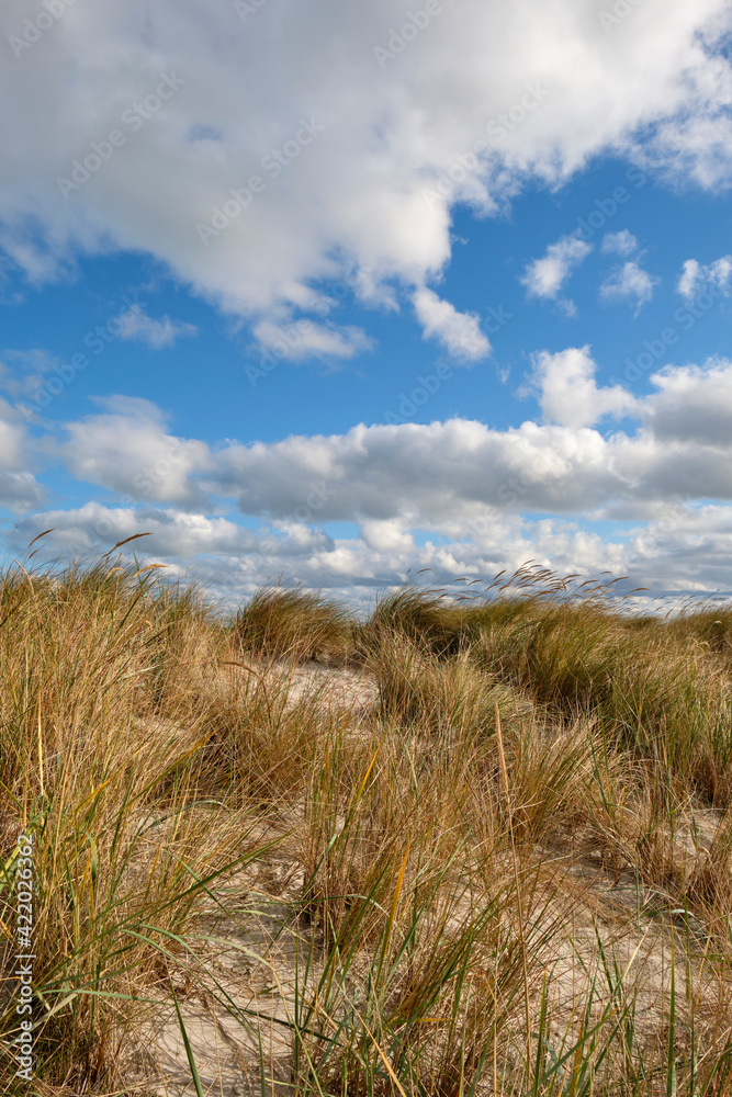Nordstrand und Dünen im Ostseebad Prerow auf dem Darß, Fischland-Darß-Zingst, Mecklenburg Vorpommern, Deutschland Nordstrand und Dünen im Ostseebad Prerow auf dem Darß, Fischland-Darß-Zingst, Mecklenburg Vorpommern, Deutschland