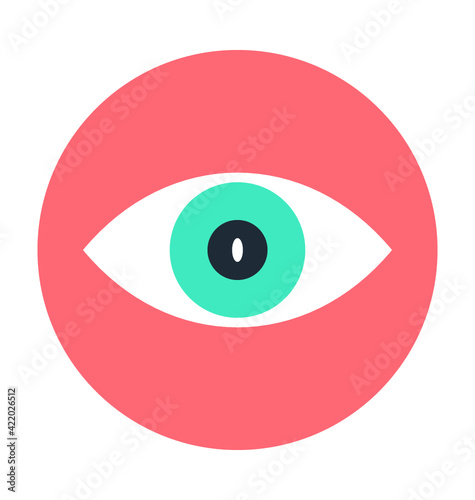 Visibility Colored Vector Icon
