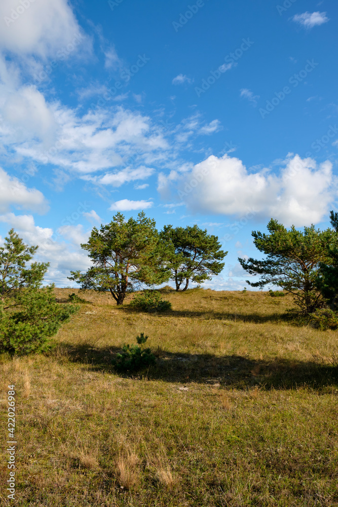 Nordstrand und Dünen im Ostseebad Prerow auf dem Darß, Fischland-Darß-Zingst, Mecklenburg Vorpommern, Deutschland Nordstrand und Dünen im Ostseebad Prerow auf dem Darß, Fischland-Darß-Zingst, Mecklenburg Vorpommern, Deutschland