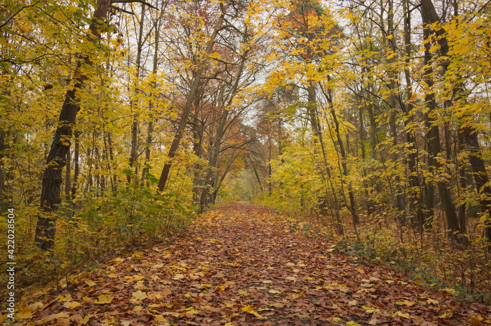 jesienią