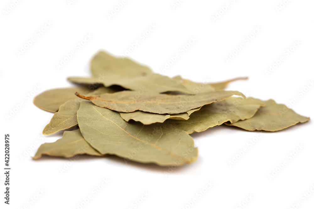 isolated pile of bay leaves, selective focus isolated pile of bay leaves, selective focus