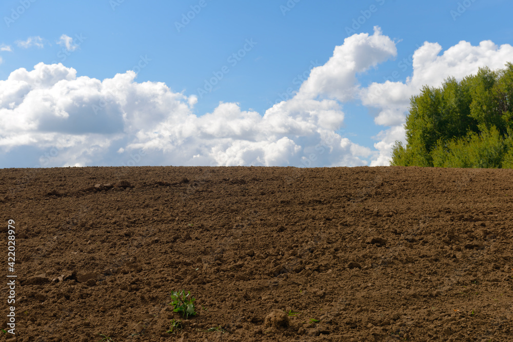 Summer landscape with plowed land, blue sky with clouds and forest Summer landscape with plowed land, blue sky with clouds and forest