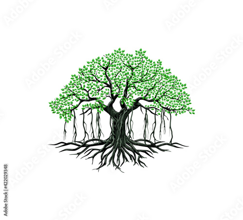 banyan tree logo vector photo