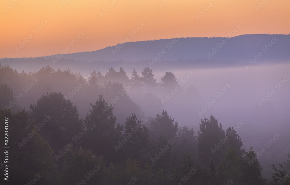 misty morning on the Bieszczady mountains misty morning on the Bieszczady mountains