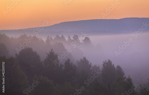 misty morning on the Bieszczady mountains