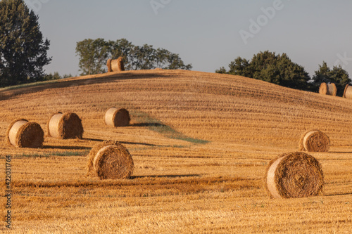 Fototapeta Naklejka Na Ścianę i Meble -  View of the Masurian fields.