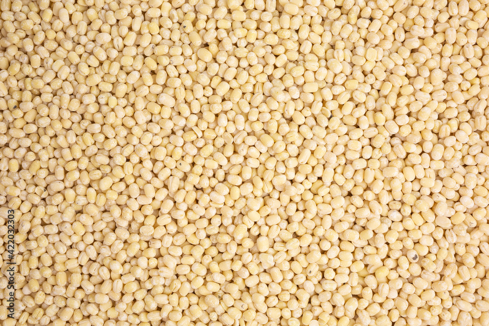 background of dried urad dal beans background of dried urad dal beans