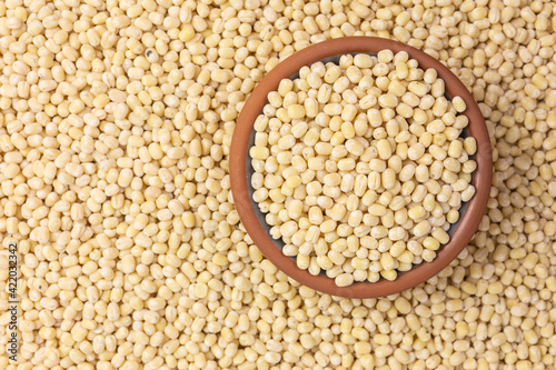 bown with dried urad dal beans photo