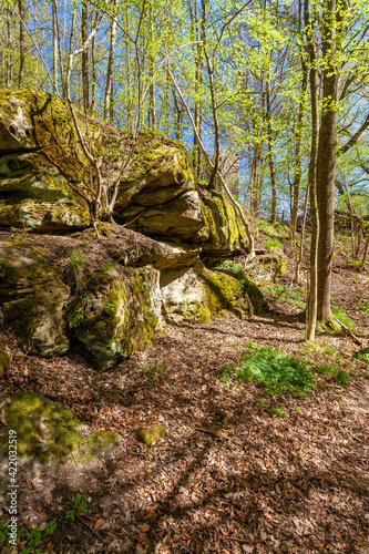 Felsenlabyrinth unterhalb der Ruine der Nordburg Lichtenstein in Lichtenstein, Naturpark Haßberge, Landkreis Hassberge, Unterfranken, Franken, Bayern, Deutschland photo