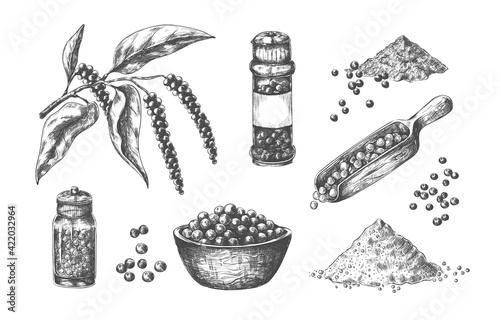 Hand drawn pepper. Kitchen seasoning realistic sketch. Whole or ground pungent spice. Powder heaps, pepperbox and scoops full of peas. Vector branch or bowl with cooking ingredient