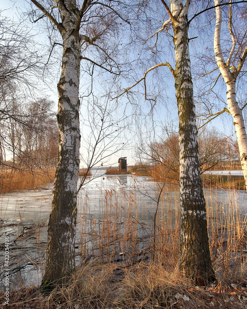 WROCLAW, POLAND - FEBRUARY 22, 2021: The Milicz Ponds (Polish: Stawy Milickie). Nature Reserve in Barycz Valley Landscape Park. Lower Silesian Voivodeship, Poland, Europe. - obrazy, fototapety, plakaty 
