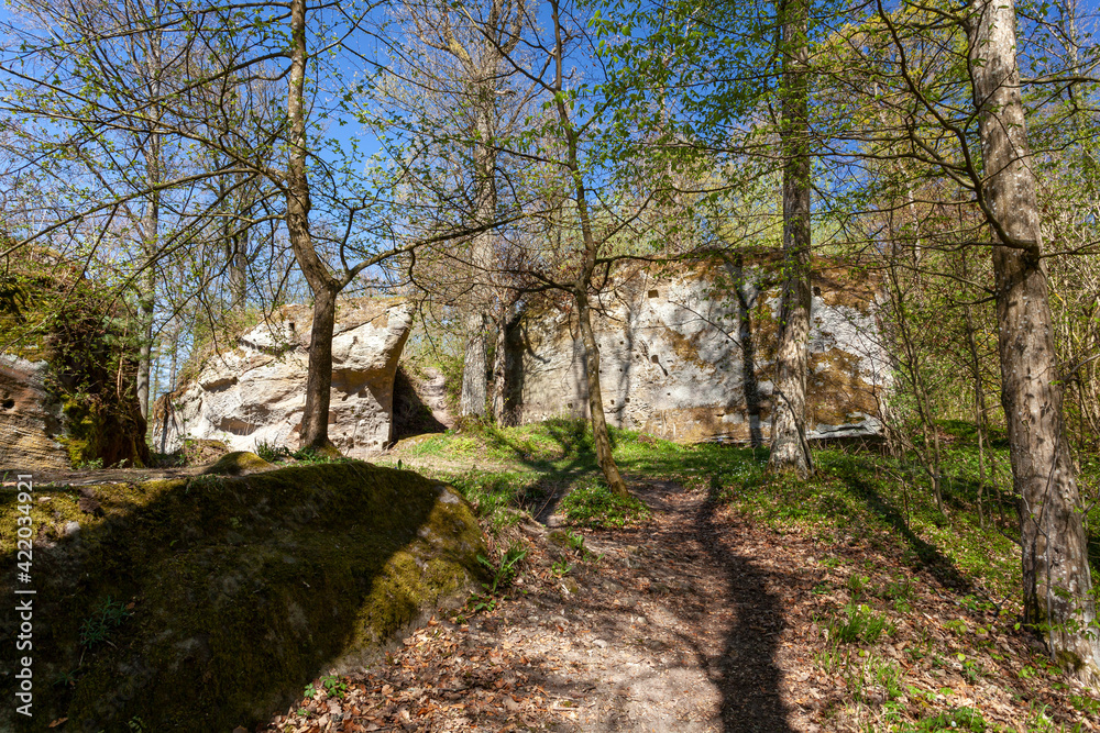 Burgruine der Felsenburg Rothenhahn im Naturpark Haßberge, oberhalb des Ortes Eyrichshof, Ebern, Landkreis Hassberge, Unterfranken, Franken, Bayern, Deutschland