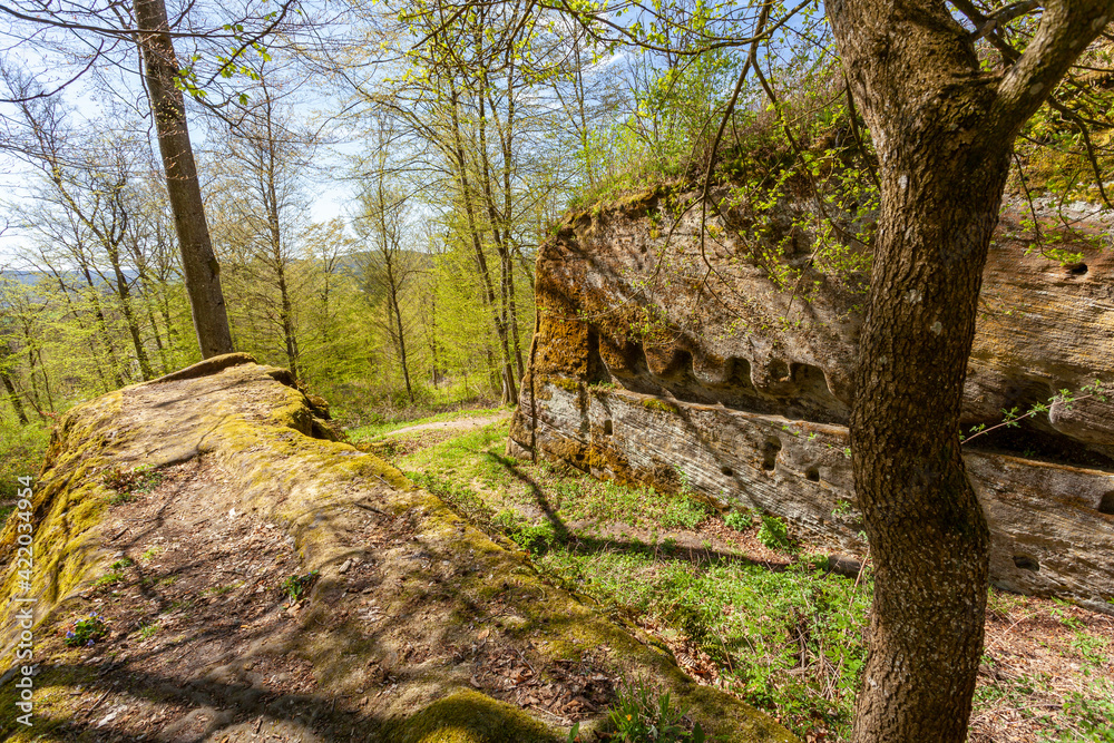 Burgruine der Felsenburg Rothenhahn im Naturpark Haßberge, oberhalb des Ortes Eyrichshof, Ebern, Landkreis Hassberge, Unterfranken, Franken, Bayern, Deutschland