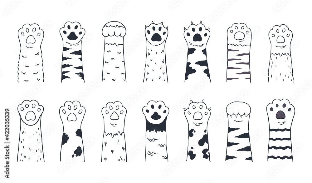 Cute cat paws. Doodle kitten and puppy limbs, wild or domestic animals furry feet with claws. Cartoon sketch of contour body parts. Black and white pets legs. Vector minimal background