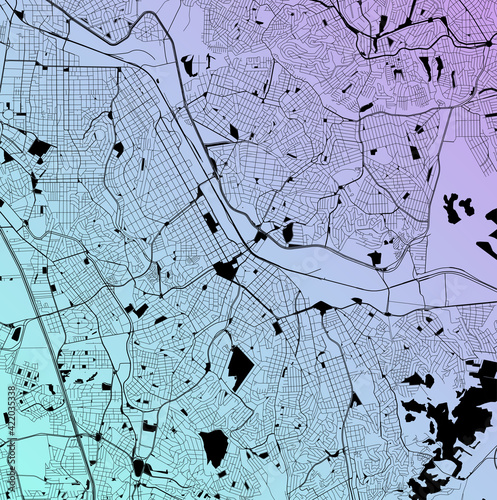 Santo Andre, São Paulo, Brazil - Urban vector city map with parks, rail and roads, highways, minimalist town plan design poster, city center, downtown, transit network, street blueprint
