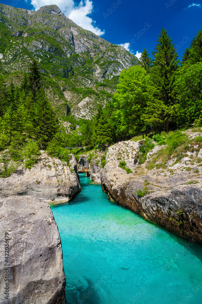 Emerald color Soca river in the rocky gorge, Bovec, Slovenia
