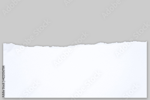 White ripped note,Torn paper edges for background. Ripped paper texture on transparent background. isolated on white background with clipping path.