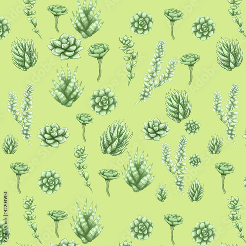 Fototapeta Naklejka Na Ścianę i Meble -  Cute succulents digital paper, lovely green succulents background, seamless pattern