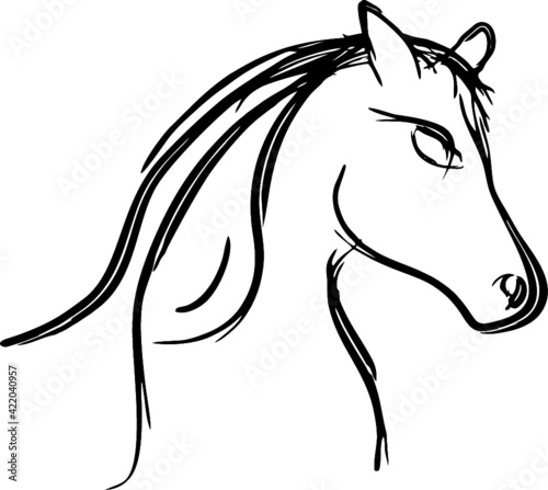 Pferd Pferdekopf Vektor Wandtattoo