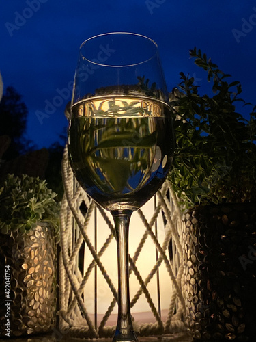 White Wine in the garden