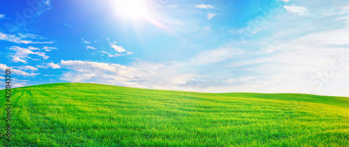 Panoramic natural landscape with green grass field meadow and blue sky with clouds  bright sun and horizon line. Panorama summer spring  grassland in sunny day.
