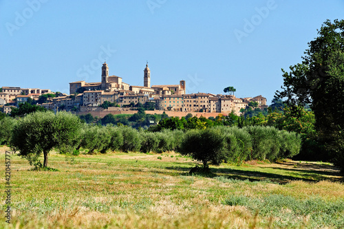 Montecosaro, district of Macerata, Marche, Italy, Europe
