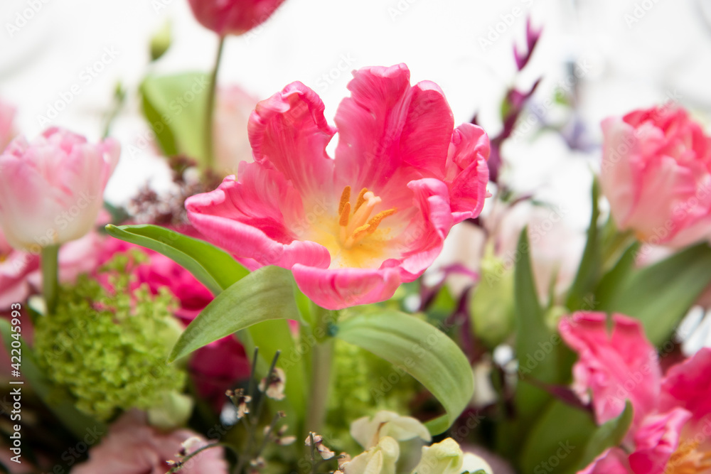 a blooming pink tulip, among other flowers and greenery, close-up. Flower arrangement, on a light background, bright light. Decoration, decor, everyday life of the florist.