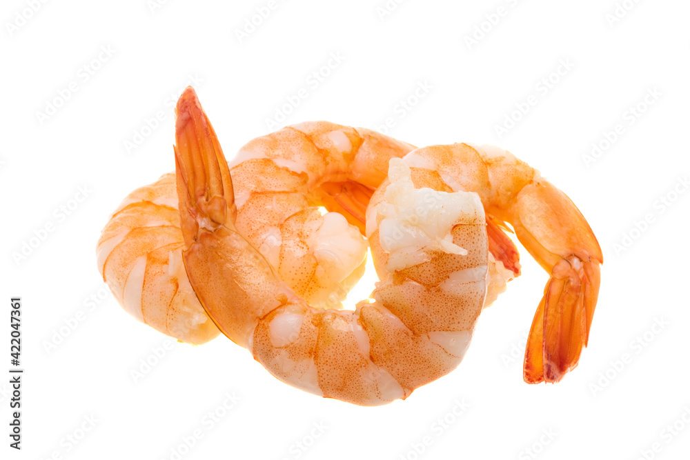 boiled shrimp isolated