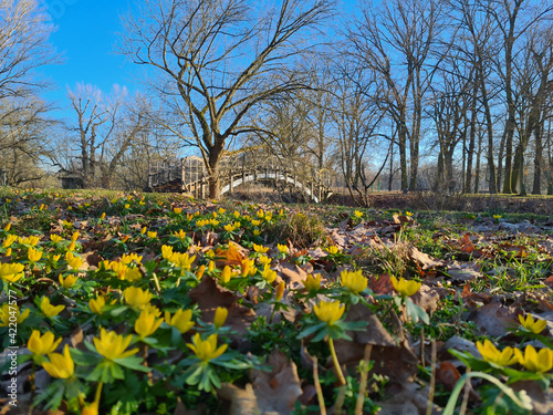 Frühling in Magdeburg