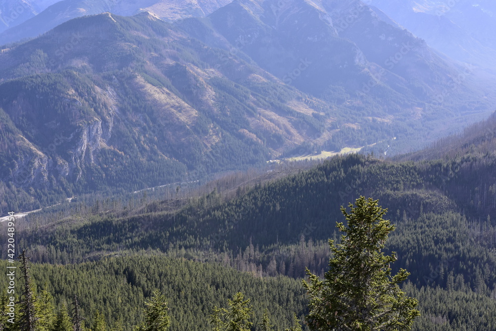 Fototapeta premium Tatry Wysokie, Dolina Białej Wody, góry, tatrzańskie szczyty 