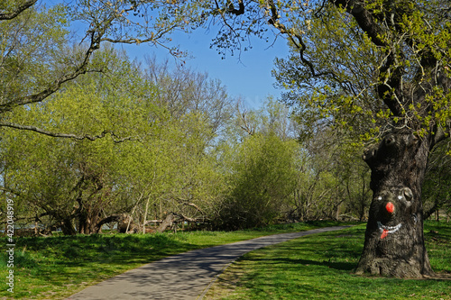 Frühling in Magdeburg