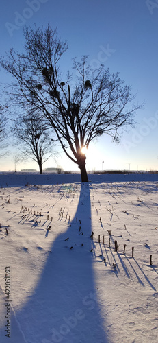 WROCLAW, POLAND - FEBRUARY 14, 2021: Beautiful winter landscape from the vicinity of Wroclaw, during extremely low temperatures. photo