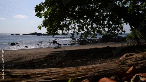 Beach and the sea with palm trees and driftwood in Corcovado National Park on the Osa Peninsula, Costa Rica photo