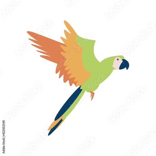 Flying Tropical parrot flat vector isolated illustration