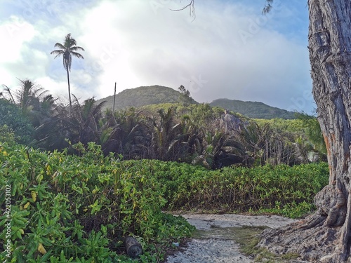 Natur auf den Seychellen, La Digue