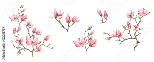 Spring collection of blooming branches magnolia for your design, vector illustration.