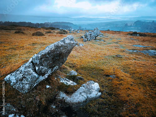 Rocky landscape in autumn. Large stones spread across grassy field in Dartmoor National Park.