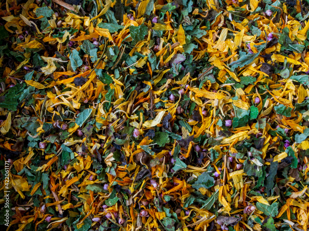colorful texture mix leaf and herbs colorful texture mix leaf and herbs