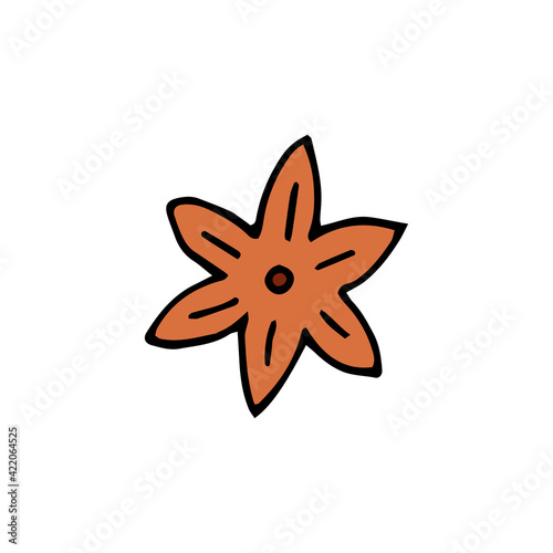 Badian. Spice. Vector. Doodle. Hand-drawn illustration.