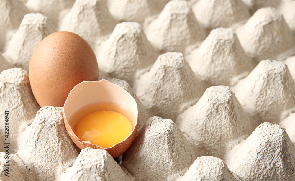 fresh egg in paper container with copy space for text or image , egg background concept fresh egg in paper container with copy space for text or image , egg background concept