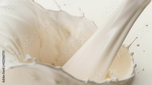 Super slow motion of milk splash isolated on white background. Filmed on high speed cinema camera, 1000 fps.