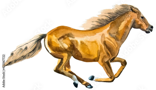 watercolor drawing of a horse