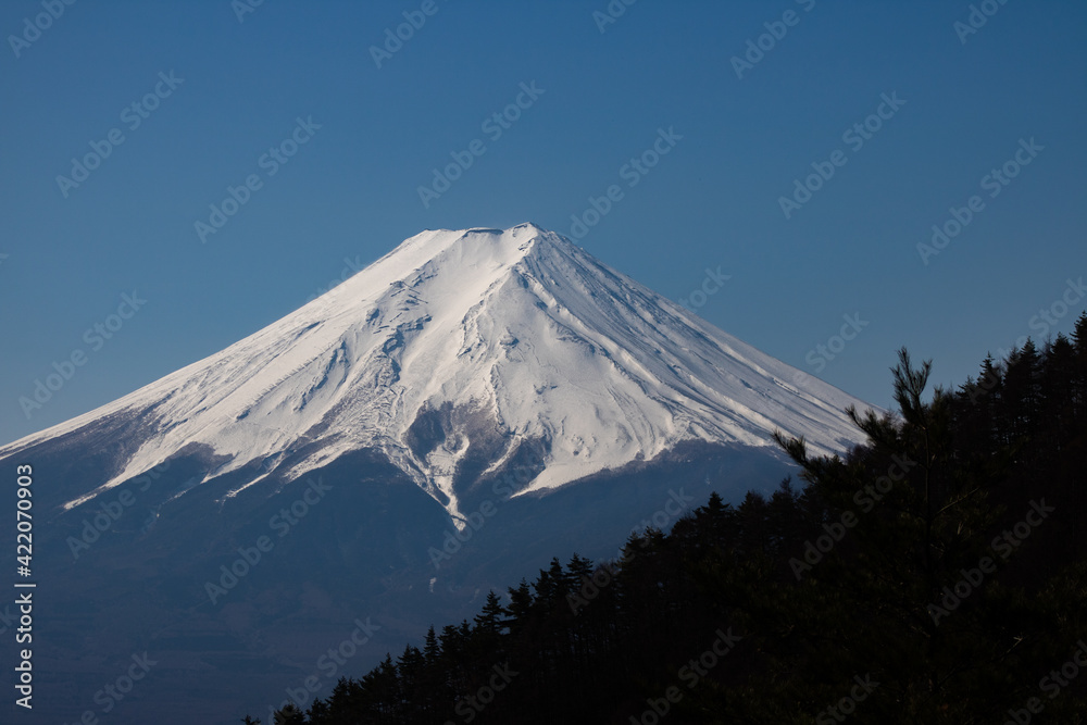Spectacular and Beautiful Mt.Fuji covered with snow and forest (from Mt.Mitsutoge)