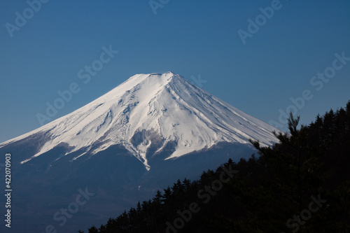 Spectacular and Beautiful Mt.Fuji covered with snow and forest (from Mt.Mitsutoge)