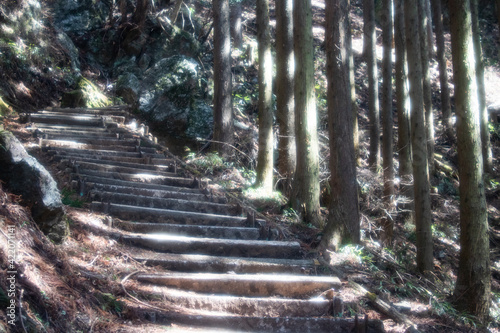 Mountain trail illuminated by sunlight (komorebi)