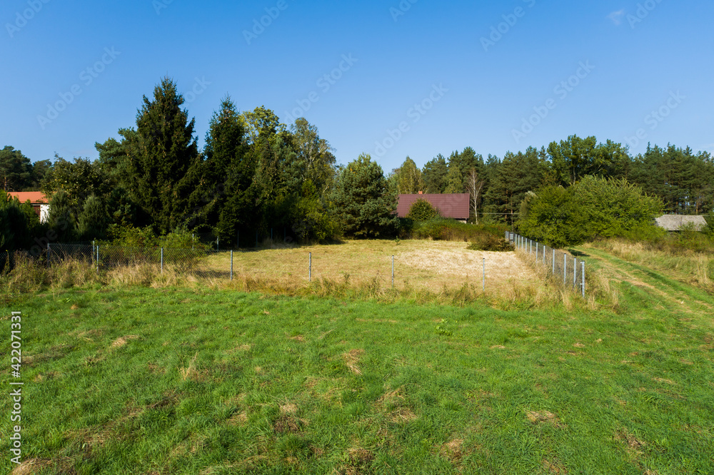 a quiet Polish village in the sun, trees, fields, summer day a quiet Polish village in the sun, trees, fields, summer day