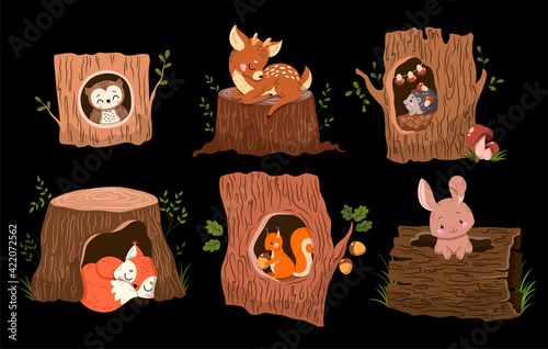 Set of 6 adorable forest animals in or on tree trunks